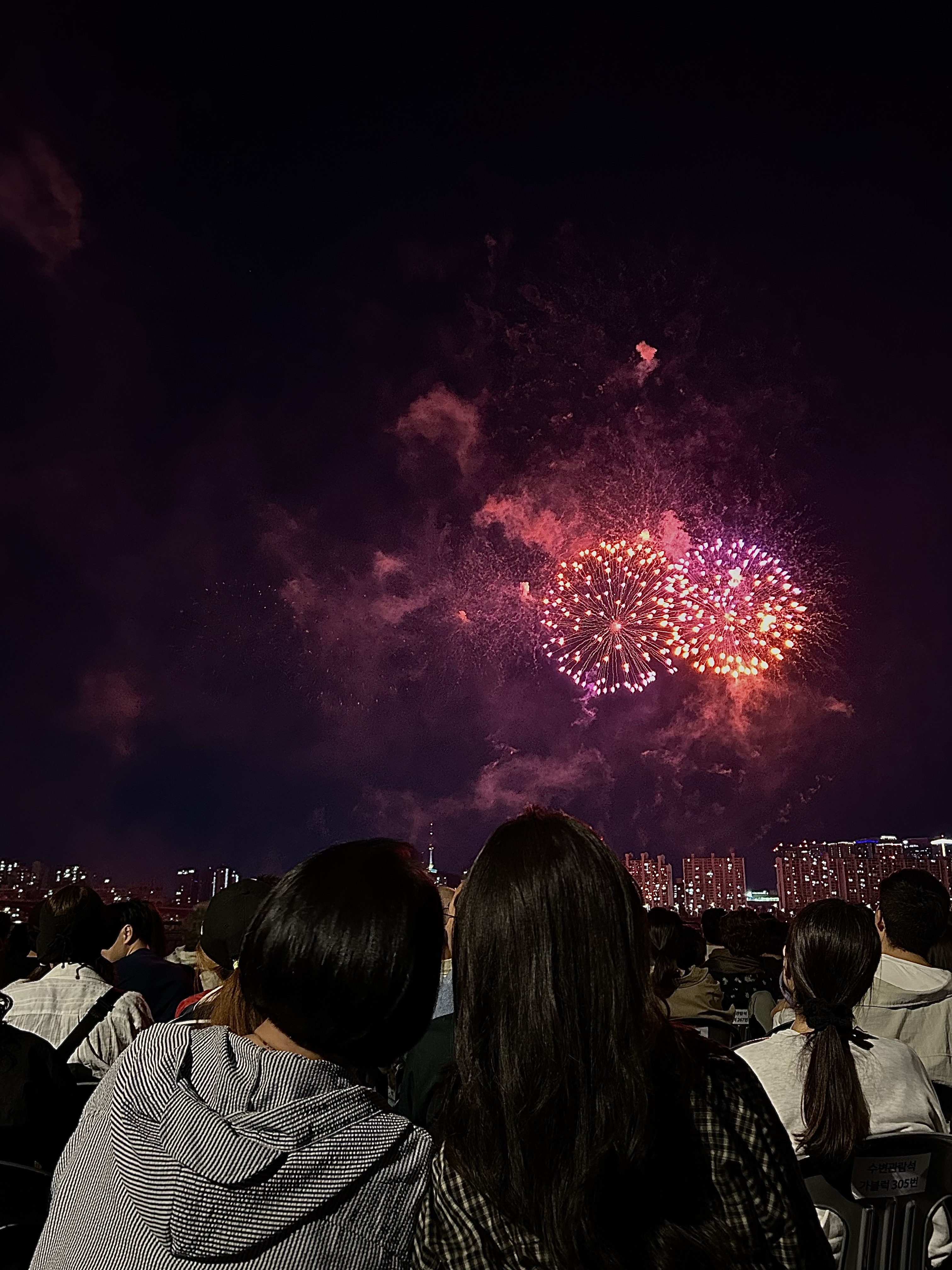 여의도 한강공원에서 불꽃축제를 함께 보는 모녀 사장님
